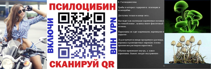 наркота Гагарин Галлюциногенные грибы мицелий
